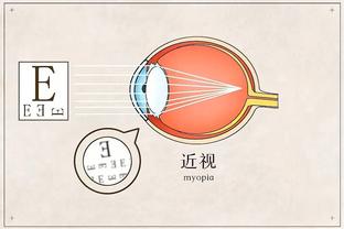 半岛官方体育网站入口下载安卓截图0